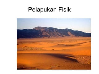Pelapukan Fisik

 