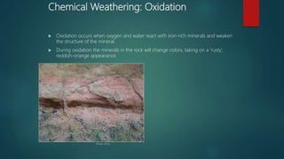 Chemical Weathering: Oxidation
 Oxidation occurs when oxygen and water react with iron-rich minerals and weaken
the structure of the mineral.
 During oxidation the minerals in the rock will change colors, taking on a ‘rusty’,
reddish-orange appearance.
Photo: SCGS
 