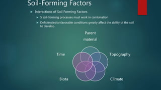Soil-Forming Factors
 Interactions of Soil Forming Factors
 5 soil-forming processes must work in combination
 Deficiencies/unfavorable conditions greatly affect the ability of the soil
to develop
Parent
material
Topography
ClimateBiota
Time
 