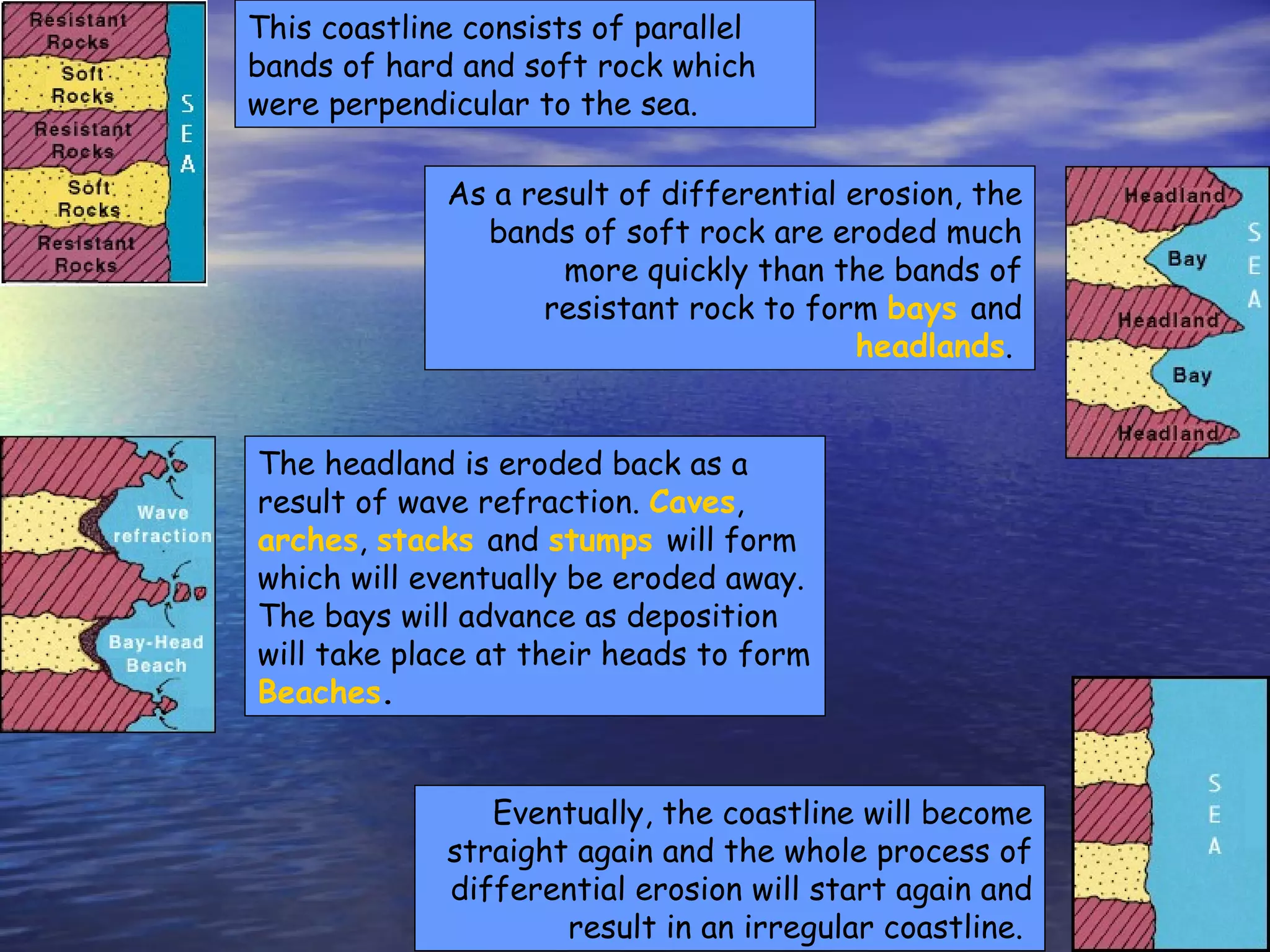 This coastline consists of parallel bands of hard and soft rock which were perpendicular to the sea. As a result of differential erosion, the bands of soft rock are eroded much more quickly than the bands of resistant rock to form   bays  and   headlands .  The headland is eroded back as a result of wave refraction.   Caves ,   arches ,  stacks  and   stumps  will form which will eventually be eroded away. The bays will advance as deposition will take place at their heads to form   Beaches .   Eventually, the coastline will become straight again and the whole process of differential erosion will start again and result in an irregular coastline.   