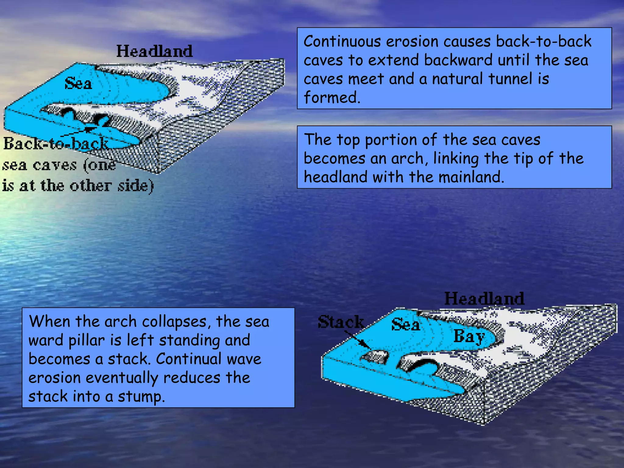 The top portion of the sea caves becomes an arch, linking the tip of the headland with the mainland.  Continuous erosion causes back-to-back caves to extend backward until the sea caves meet and a natural tunnel is formed. When the arch collapses, the sea ward pillar is left standing and becomes a stack. Continual wave erosion eventually reduces the stack into a stump.   