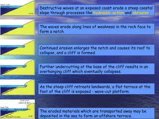 Destructive waves at an exposed coast erode a steep coastal slope through processes like  hydraulic action  and  abrasion .  The waves erode along lines of weakness in the rock face to form a notch.  Continued erosion enlarges the notch and causes its roof to collapse, and a cliff is formed.  Further undercutting at the base of the cliff results in an overhanging cliff which eventually collapses.  As the steep cliff retreats landwards, a flat terrace at the foot of the cliff is exposed - wave-cut platform.  The eroded materials which are transported away may be deposited in the sea to form an offshore terrace.  