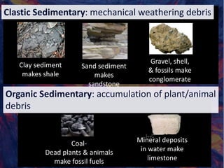 Clay sediment
makes shale
Sand sediment
makes
sandstone
Mineral deposits
in water make
limestone
Coal-
Dead plants & animals
make fossil fuels
Gravel, shell,
& fossils make
conglomerate
Clastic Sedimentary: mechanical weathering debris
Organic Sedimentary: accumulation of plant/animal
debris
 