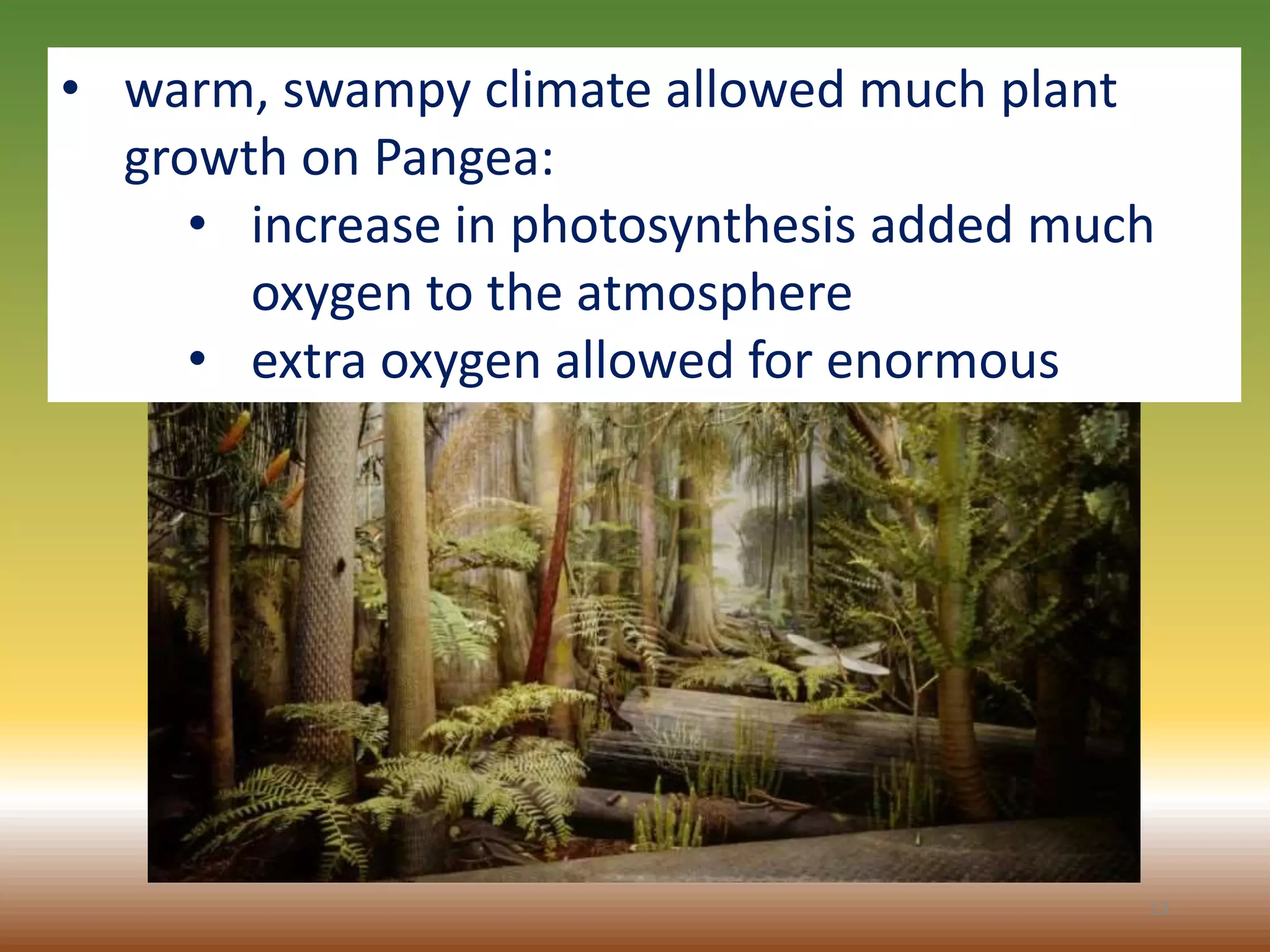 13
• warm, swampy climate allowed much plant
growth on Pangea:
• increase in photosynthesis added much
oxygen to the atmosphere
• extra oxygen allowed for enormous
 