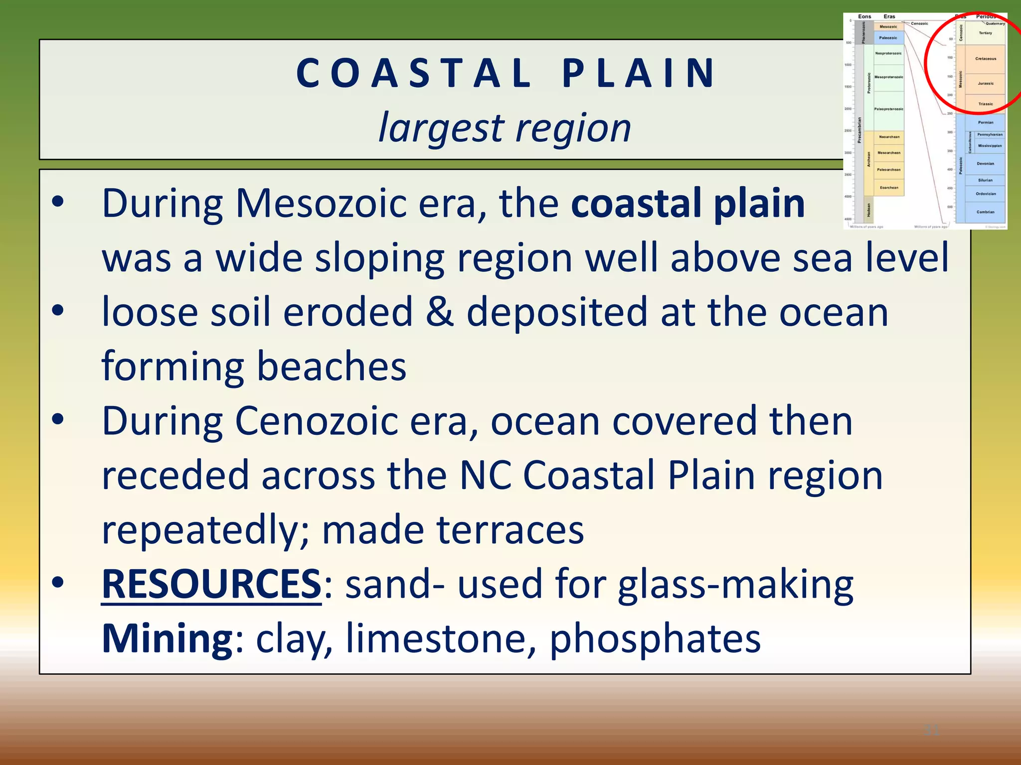 C O A S T A L P L A I N
largest region
• During Mesozoic era, the coastal plain
was a wide sloping region well above sea level
• loose soil eroded & deposited at the ocean
forming beaches
• During Cenozoic era, ocean covered then
receded across the NC Coastal Plain region
repeatedly; made terraces
• RESOURCES: sand- used for glass-making
Mining: clay, limestone, phosphates
31
 