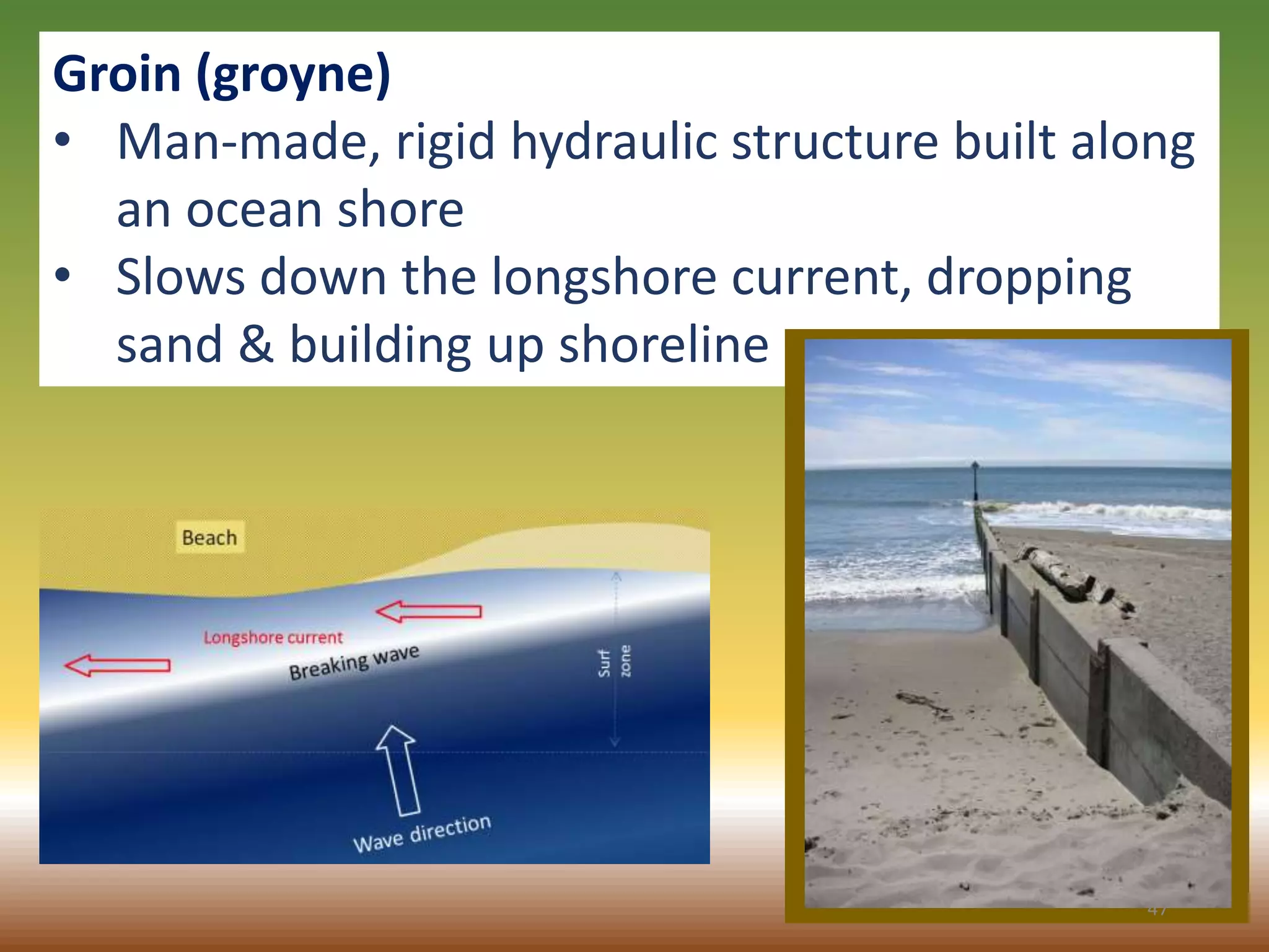 Groin (groyne)
• Man-made, rigid hydraulic structure built along
an ocean shore
• Slows down the longshore current, dropping
sand & building up shoreline
47
 