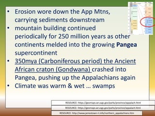 • Erosion wore down the App Mtns,
carrying sediments downstream
• mountain building continued
periodically for 250 million years as other
continents melded into the growing Pangea
supercontinent
• 350mya (Carboniferous period) the Ancient
African craton (Gondwana) crashed into
Pangea, pushing up the Appalachians again
• Climate was warm & wet … swamps
RESOURCE: https://geomaps.wr.usgs.gov/parks/province/appalach.html
RESOURCE: https://geomaps.wr.usgs.gov/parks/province/appalach.html
RESOURCE: http://www.jamestown-ri.info/northern_appalachians.htm
11
 
