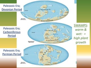 Paleozoic Era;
Carboniferous
Period
Paleozoic Era;
Devonian Period
Paleozoic Era;
Permian Period
SWAMPS:
warm &
wet: =
high plant
growth
12
 