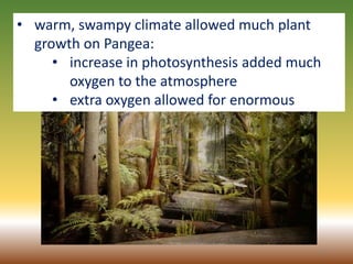 13
• warm, swampy climate allowed much plant
growth on Pangea:
• increase in photosynthesis added much
oxygen to the atmosphere
• extra oxygen allowed for enormous
 