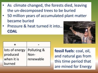 15
• As climate changed, the forests died, leaving
the un-decomposed trees to be buried
• 50 million years of accumulated plant matter
became buried
• Pressure & heat turned it into…
COAL
fossil fuels: coal, oil,
and natural gas from
this time period that
are mined for Energy
+ -
lots of energy
produced
when it is
burned
Polluting &
Non-
renewable
 
