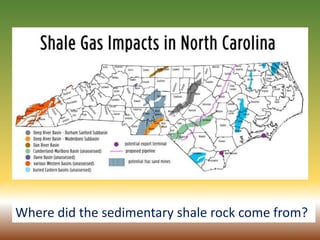 17
Where did the sedimentary shale rock come from?
 