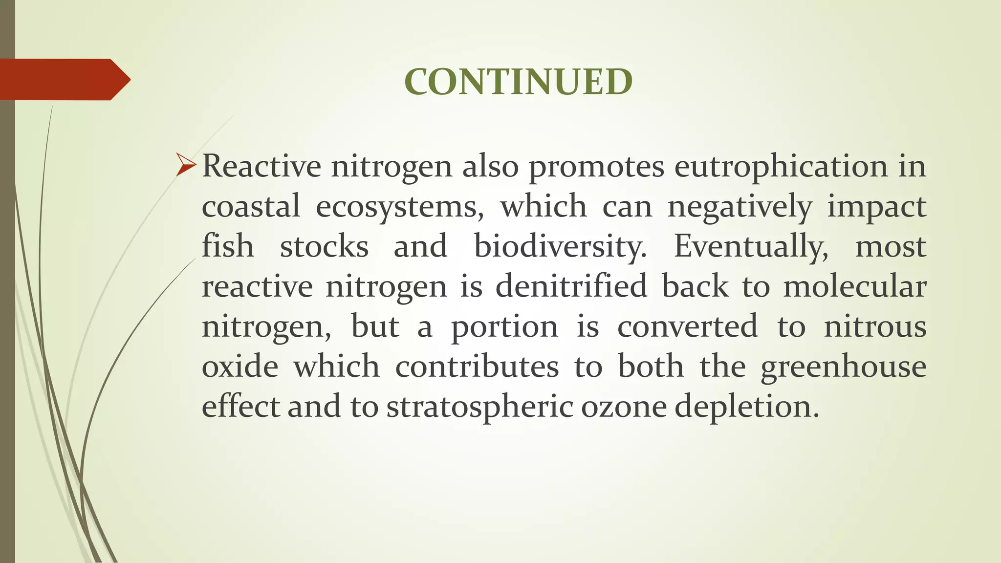 CONTINUED
Reactive nitrogen also promotes eutrophication in
coastal ecosystems, which can negatively impact
fish stocks and biodiversity. Eventually, most
reactive nitrogen is denitrified back to molecular
nitrogen, but a portion is converted to nitrous
oxide which contributes to both the greenhouse
effect and to stratospheric ozone depletion.
 