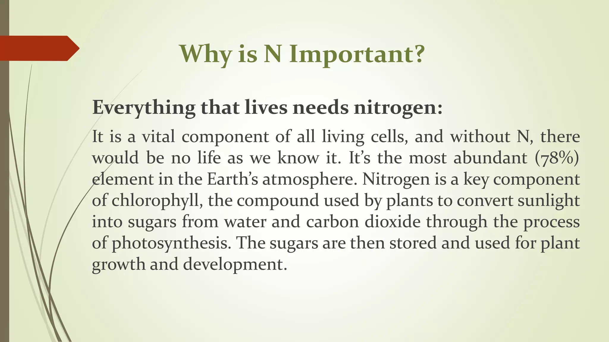 Why is N Important?
Everything that lives needs nitrogen:
It is a vital component of all living cells, and without N, there
would be no life as we know it. It’s the most abundant (78%)
element in the Earth’s atmosphere. Nitrogen is a key component
of chlorophyll, the compound used by plants to convert sunlight
into sugars from water and carbon dioxide through the process
of photosynthesis. The sugars are then stored and used for plant
growth and development.
 
