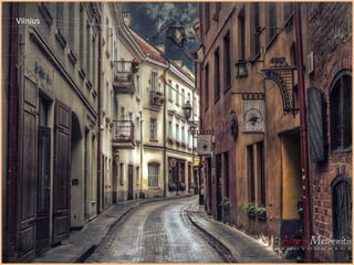 Vilnius 
 