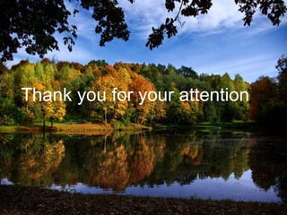 Thank you for your attention
 