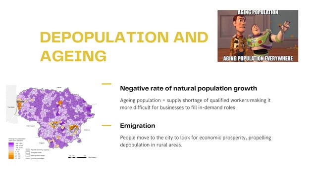 Economic Problems in Rural Areas.pdf