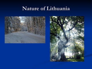 Nature of Lithuania 