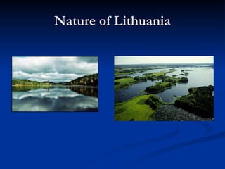 Nature of Lithuania 