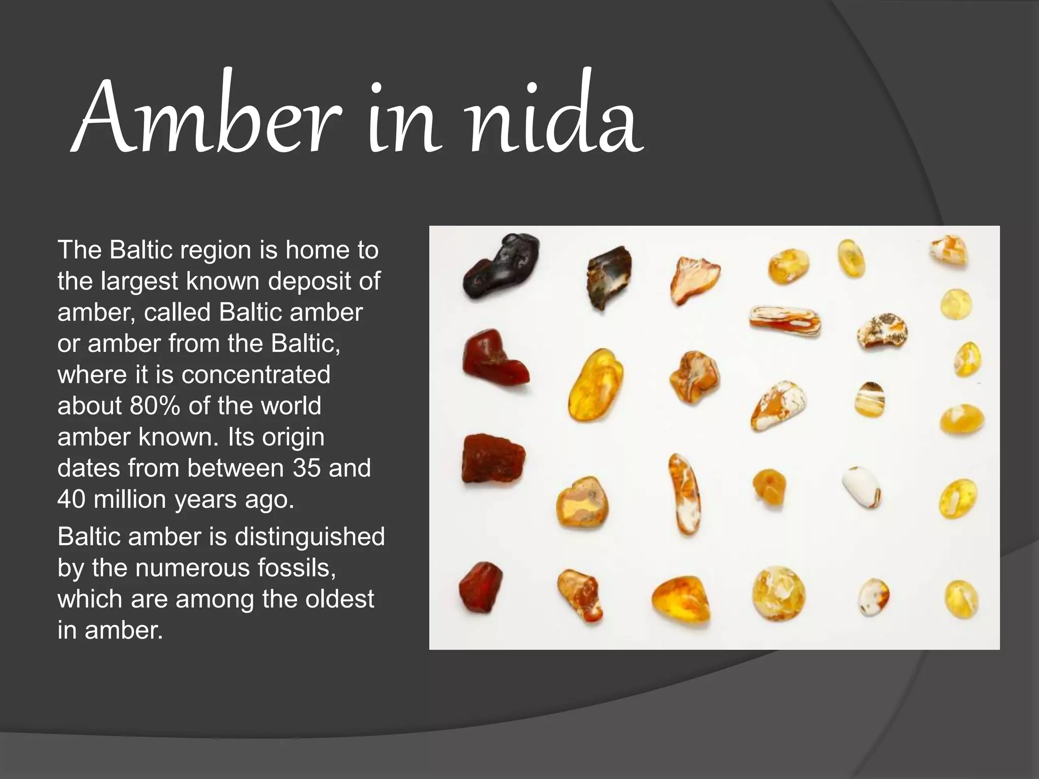 Amber in nida
The Baltic region is home to
the largest known deposit of
amber, called Baltic amber
or amber from the Baltic,
where it is concentrated
about 80% of the world
amber known. Its origin
dates from between 35 and
40 million years ago.
Baltic amber is distinguished
by the numerous fossils,
which are among the oldest
in amber.
 