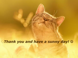 Thank you and have a sunny day! 
 