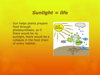 Sunlight = life
 Sun helps plants prepare
food through
photosynthesis, so if
there would be no
sunlight, there would be a
collapse in the food chain
of every habitat.
 