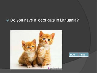  Do you have a lot of cats in Lithuania?
true false
 