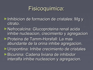 Fisicoquimica:Fisicoquimica:
►Inhibicion de formacion de cristales: Mg yInhibicion de formacion de cristales: Mg y
citrato.citrato.
►Nefrocalcina: Glucoproteina renal acidaNefrocalcina: Glucoproteina renal acida
inhibe nucleacion, crecimiento y agregacioninhibe nucleacion, crecimiento y agregacion
►Proteina de Tamm-Horsfall: La masProteina de Tamm-Horsfall: La mas
abundante de la orina inhibe agregacion.abundante de la orina inhibe agregacion.
►Uropontina: Inhibe crecimiento de cristalesUropontina: Inhibe crecimiento de cristales
►Bicunina: Cadena liviana de inhibidorBicunina: Cadena liviana de inhibidor
interalfa inhibe nucleacion y agregacion.interalfa inhibe nucleacion y agregacion.
 