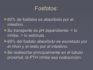 Fosfatos:Fosfatos:
►60% de fosfatos es absorbido por el60% de fosfatos es absorbido por el
intestino.intestino.
►Su transporte es pH dependiente: < loSu transporte es pH dependiente: < lo
inhibe, > lo estimula.inhibe, > lo estimula.
►65% del fosfato absorbido es excretado por65% del fosfato absorbido es excretado por
el riñon y el resto por el intestino.el riñon y el resto por el intestino.
►Se reabsorbe principalmente en el tubuloSe reabsorbe principalmente en el tubulo
proximal, la PTH inhibe esa reabsorción.proximal, la PTH inhibe esa reabsorción.
 