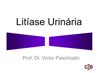 Litíase Urinária

Prof. Dr. Victor Paschoalin

 
