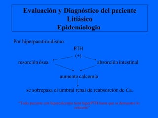Evaluación y Diagnóstico del paciente Litiásico Epidemiologia  Por hiperparatiroidismo PTH  (+)  resorción ósea  absorción intestinal  aumento calcemia se sobrepasa el umbral renal de reabsorción de Ca. “ Todo paciente con hipercalcemia tiene hiperPTH hasta que se demuestre lo contrario” 