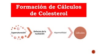 Formación de Cálculos
de Colesterol
Supersaturación
Defectos de la
nucleación
Hipomotilidad Cálculos
 
