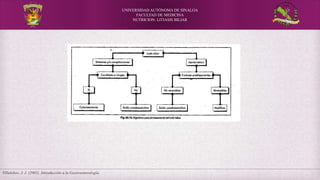 UNIVERSIDAD AUTÓNOMA DE SINALOA
FACULTAD DE MEDICINA
NUTRICION: LITIASIS BILIAR
Villalobos, J. J. (2001). Introducción a la Gastroenterología.
 