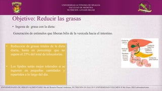 ENFERMEDADES DE ORIGEN ALIMENTARIO Ma del Rosario Pascual Anderson, NUTRICION EN SALUD Y ENFERMEDAD VOLUMEN II Mc Graw- Hill Latinoamericana
UNIVERSIDAD AUTÓNOMA DE SINALOA
FACULTAD DE MEDICINA
NUTRICION: LITIASIS BILIAR
Objetivo: Reducir las grasas
• Ingesta de grasa con la dieta:
Generación de estímulos que liberan bilis de la vesícula hacia el intestino.
• Reducción de grasas totales de la dieta
diaria, hasta un porcentaje que no
supere el 25% del total de kilocalorías.
• Los lípidos serán mejor tolerados si se
ingieren en pequeñas cantidades y
repartidos a lo largo del día.
 