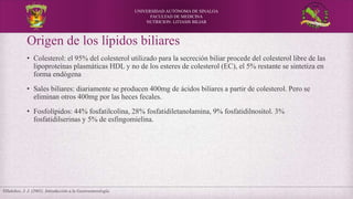 UNIVERSIDAD AUTÓNOMA DE SINALOA
FACULTAD DE MEDICINA
NUTRICION: LITIASIS BILIAR
Origen de los lípidos biliares
• Colesterol: el 95% del colesterol utilizado para la secreción biliar procede del colesterol libre de las
lipoproteínas plasmáticas HDL y no de los esteres de colesterol (EC), el 5% restante se sintetiza en
forma endógena
• Sales biliares: diariamente se producen 400mg de ácidos biliares a partir de colesterol. Pero se
eliminan otros 400mg por las heces fecales.
• Fosfolípidos: 44% fosfatilcolina, 28% fosfatidiletanolamina, 9% fosfatidilnositol. 3%
fosfatidilserinas y 5% de esfingomielina.
Villalobos, J. J. (2001). Introducción a la Gastroenterología.
 