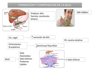 FORMACION Y COMPOSICION DE LA BILIS
Produce: bilis
Excreta: canalículos
biliares
500-1000ml
Est. vagal
Estimulacion
N.espl...
