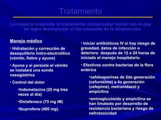 Tratamiento
La mayoría responde al tratamiento conservador inicial con el que
se logra desimpactar el lito causante de la obstrucción
Manejo médico

• Iniciar antibióticos IV si hay riesgo de

desequilibrio hidro-electrolítico
(vómito, fiebre y ayuno)

gravedad, datos de infección o
deterioro después de 12 a 24 horas de
iniciado el manejo hospitalario

• Ayuno y si persiste el vómito

• Efectivos contra bacterias de la flora

• Hidratación y corrección de

se instalará una sonda
nasogástrica
• Control del dolor

•Indometacina (25 mg tres
veces al día)
•Diclofenaco (75 mg IM)
•Ibuprofeno (400 mg).

entérica
•cefalosporinas de 2da generación
(cefuroxime) a 4a generación
(cefepime), metronidazol y
ampicilina
•aminoglucósido y ampicilina se
han limatodo por desarrollo de
resistencia bacteriana y riesgo de
nefrotoxicidad

 