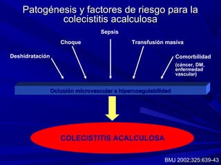 Patogénesis y factores de riesgo para la
colecistitis acalculosa
Sepsis
Choque

Transfusión masiva

Deshidratación

Comorbilidad
(cáncer, DM,
enfermedad
vascular)

Oclusión microvascular e hipercoagulabilidad

COLECISTITIS ACALCULOSA
BMJ 2002;325:639-43

 