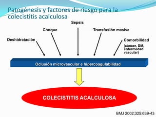 Patogénesis y factores de riesgo para la
colecistitis acalculosa
COLECISTITIS ACALCULOSA
Oclusión microvascular e hipercoagulabilidad
Deshidratación
Choque
BMJ 2002;325:639-43
Sepsis
Transfusión masiva
Comorbilidad
(cáncer, DM,
enfermedad
vascular)
 
