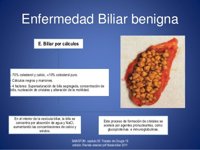 Sindrome de bilis espesa pdf file