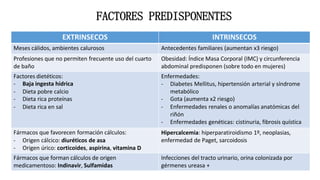 FACTORES PREDISPONENTES
EXTRINSECOS INTRINSECOS
Meses cálidos, ambientes calurosos Antecedentes familiares (aumentan x3 riesgo)
Profesiones que no permiten frecuente uso del cuarto
de baño
Obesidad: Índice Masa Corporal (IMC) y circunferencia
abdominal predisponen (sobre todo en mujeres)
Factores dietéticos:
- Baja ingesta hídrica
- Dieta pobre calcio
- Dieta rica proteínas
- Dieta rica en sal
Enfermedades:
- Diabetes Mellitus, hipertensión arterial y síndrome
metabólico
- Gota (aumenta x2 riesgo)
- Enfermedades renales o anomalías anatómicas del
riñón
- Enfermedades genéticas: cistinuria, fibrosis quística
Fármacos que favorecen formación cálculos:
- Origen cálcico: diuréticos de asa
- Origen úrico: corticoides, aspirina, vitamina D
Hipercalcemia: hiperparatiroidismo 1º, neoplasias,
enfermedad de Paget, sarcoidosis
Fármacos que forman cálculos de origen
medicamentoso: Indinavir, Sulfamidas
Infecciones del tracto urinario, orina colonizada por
gérmenes ureasa +
 