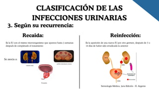 Semiología Médica, 3era Edición - H. Argente
3. Según su recurrencia:
CLASIFICACIÓN DE LAS
INFECCIONES URINARIAS
Recaida: Reinfección:
Es la IU con el mismo microorganismo que aparece hasta 3 semanas
después de completado el tratamiento
Es la aparición de una nueva IU por otro germen, después de 7 o
10 días de haber sido erradicada la anterior
Se asocia a:
Litiasis renal
Prostatitis
nefritis intersticial cronica
 