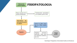 FISIOPATOLOGIA
Semiologia Y Diagnóstico (Universidad Católica de Honduras)
 