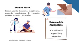Examen general y el examen de la región renal,
realizando procedimientos de inspección,
palpación, percusión y auscultación.
Examen de la
Región Renal
A través de la
inspección y
palpación.
Examen Físico
Semiología Médica, 3era Edición - H. Argente
 