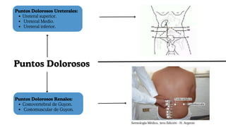 Puntos Dolorosos Ureterales:
Ureteral superior.
Ureteral Medio.
Ureteral inferior.
Puntos Dolorosos Renales:
Costovertebral de Guyon.
Costomuscular de Guyon.
Puntos Dolorosos
Semiología Médica, 3era Edición - H. Argente
 