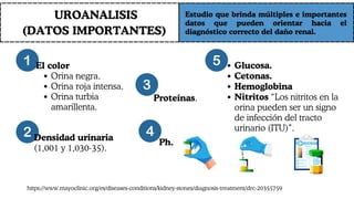 UROANALISIS
(DATOS IMPORTANTES)
Estudio que brinda múltiples e importantes
datos que pueden orientar hacia el
diagnóstico correcto del daño renal.
El color
Orina negra.
Orina roja intensa.
Orina turbia
amarillenta.
Densidad urinaria
(1,001 y 1,030-35).
Proteínas.
Ph.
Glucosa.
Cetonas.
Hemoglobina
Nitritos “Los nitritos en la
orina pueden ser un signo
de infección del tracto
urinario (ITU)”.
https://www.mayoclinic.org/es/diseases-conditions/kidney-stones/diagnosis-treatment/drc-20355759
 