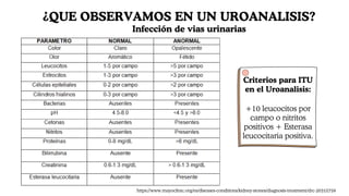 ¿QUE OBSERVAMOS EN UN UROANALISIS?
Infección de vias urinarias
Criterios para ITU
en el Uroanalisis:
+10 leucocitos por
campo o nitritos
positivos + Esterasa
leucocitaria positiva.
https://www.mayoclinic.org/es/diseases-conditions/kidney-stones/diagnosis-treatment/drc-20355759
 