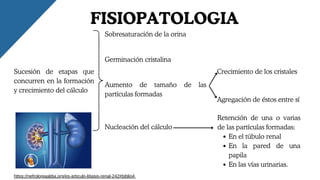 Crecimiento de los cristales
Agregación de éstos entre sí
Nucleación del cálculo
FISIOPATOLOGIA
Sucesión de etapas que
concurren en la formación
y crecimiento del cálculo
Sobresaturación de la orina
Germinación cristalina
Aumento de tamaño de las
partículas formadas
Retención de una o varias
de las partículas formadas:
En el túbulo renal
En la pared de una
papila
En las vías urinarias.
https://nefrologiaaldia.org/es-articulo-litiasis-renal-242#biblio4
 