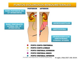 ANTERIORPOSTERIOR
PUNTO COSTO-VERTEBRAL
PUNTO COSTO-LUMBAR
PUNTO URETERAL SUPERIOR
PUNTO URETERAL MEDIO
PUNTO URETERAL INFERIOR
PUNTOS DOLOROSOS RENOURETERALES
ABOMINOGENITALES
GENITOCRURAL
ABOMINOGENITALES
GENITOCRURAL
PUBENDO INTERNO
RAMO POSTERIOR DEL
12ª INTERCOSTAL
RAMO PERFORANTE
LATERAL DEL 12ª
INTERCOSTAL
N inglés J Med 2007; 646: 88-84Avendaño. NefrologíaClínica. 2a Edición, España 2003
 