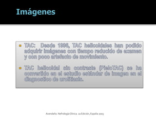 Avendaño. NefrologíaClínica. 2a Edición, España 2003
 