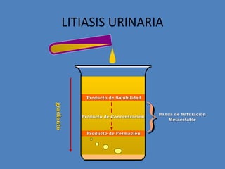 LITIASIS URINARIA




             Producto de Solubilidad




                                        }
gradiente
gradiente




                                            Banda de Saturación
            Producto de Concentración
                                               Metaestable


              Producto de Formación
 